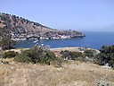 IMG_0113